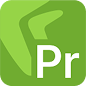Directum Projects